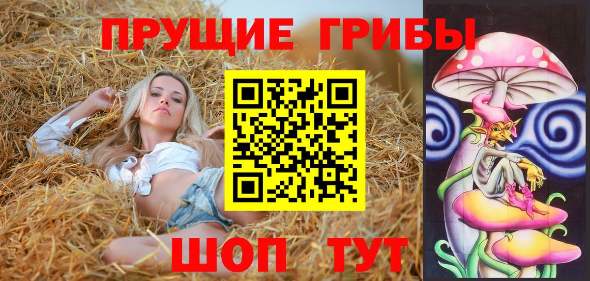 Петрозаводск  Псилоцибиновые грибы MAGIC MUSHROOMS  Вход с VPN  Галлюциногенные грибы Psilocybine cubensis 