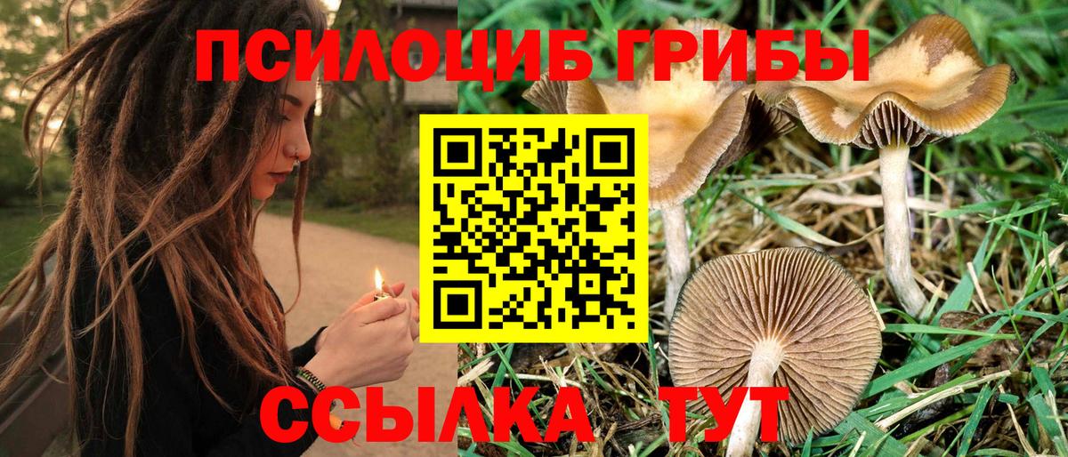 Псилоцибиновые грибы MAGIC MUSHROOMS Петрозаводск